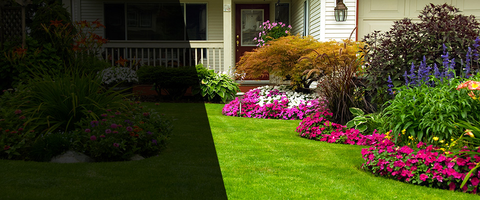 Wabasha Landscapers