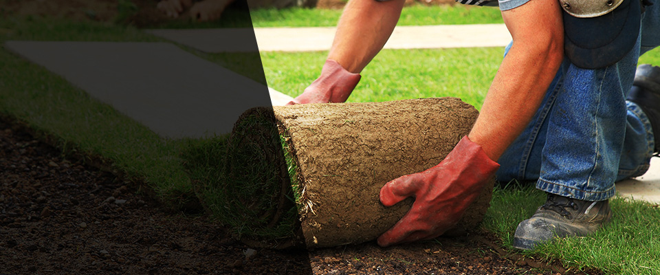 Wabasha Landscapers